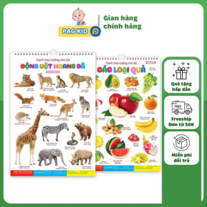 TRANH TREO TƯỜNG SONG NGỮ CHO BÉ – BỘ 14 CHỦ ĐỀ THẾ GIỚI XUNG QUANH