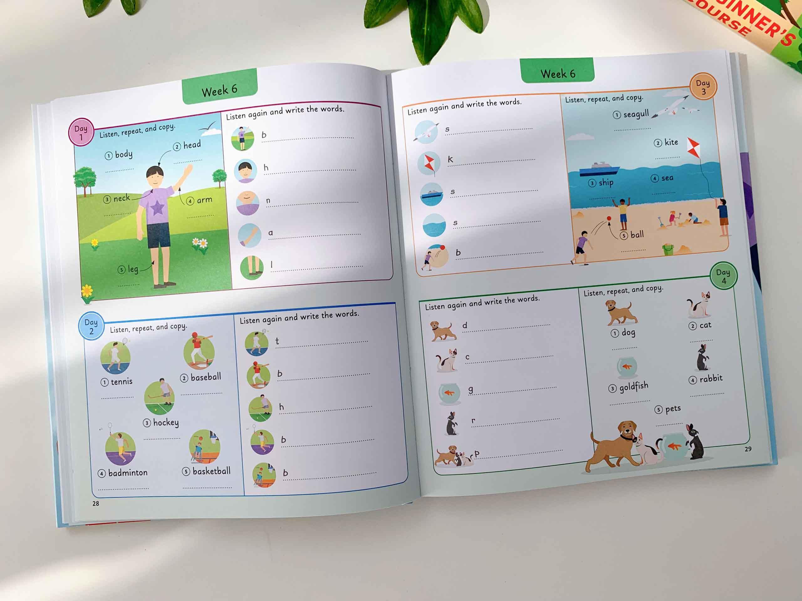 1656402183663_z3514459993974_014eac2e5e70de85b7cd57a5ba6f2e76