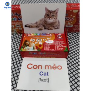 Thẻ học thông minh Song Ngữ A5 Cho Bé