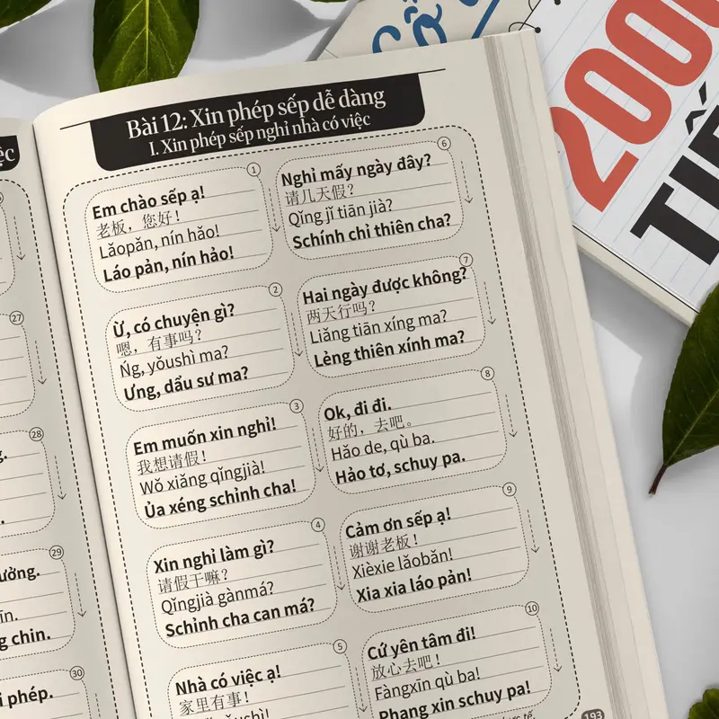 9a073bd564874e4e9269215d6cf09a9b~tplv-aphluv4xwc-resize-webp_800_800